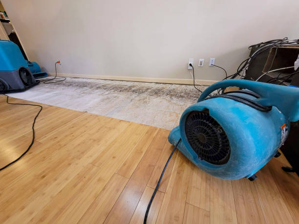 Professional Burst Pipe Water Damage technician working in Esko, MN
